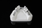 Riton SLM繊維レーザーの3時間に100つの王冠を印刷する付加的な3dのための歯科金属3Dプリンター