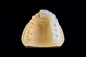 100μMの高速印刷3d樹脂プリンターLCD絶妙な歯科王冠